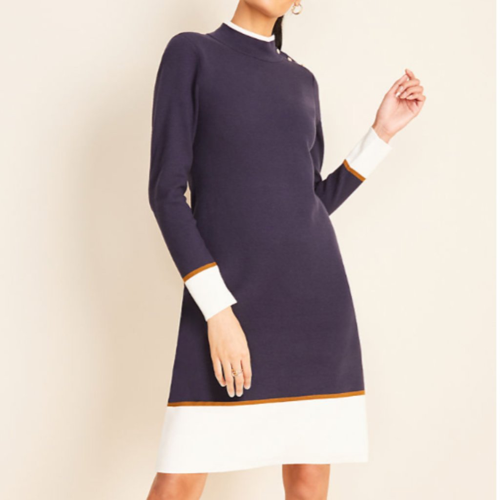 Nwt Colorblock Mock Neck Sweater Dress